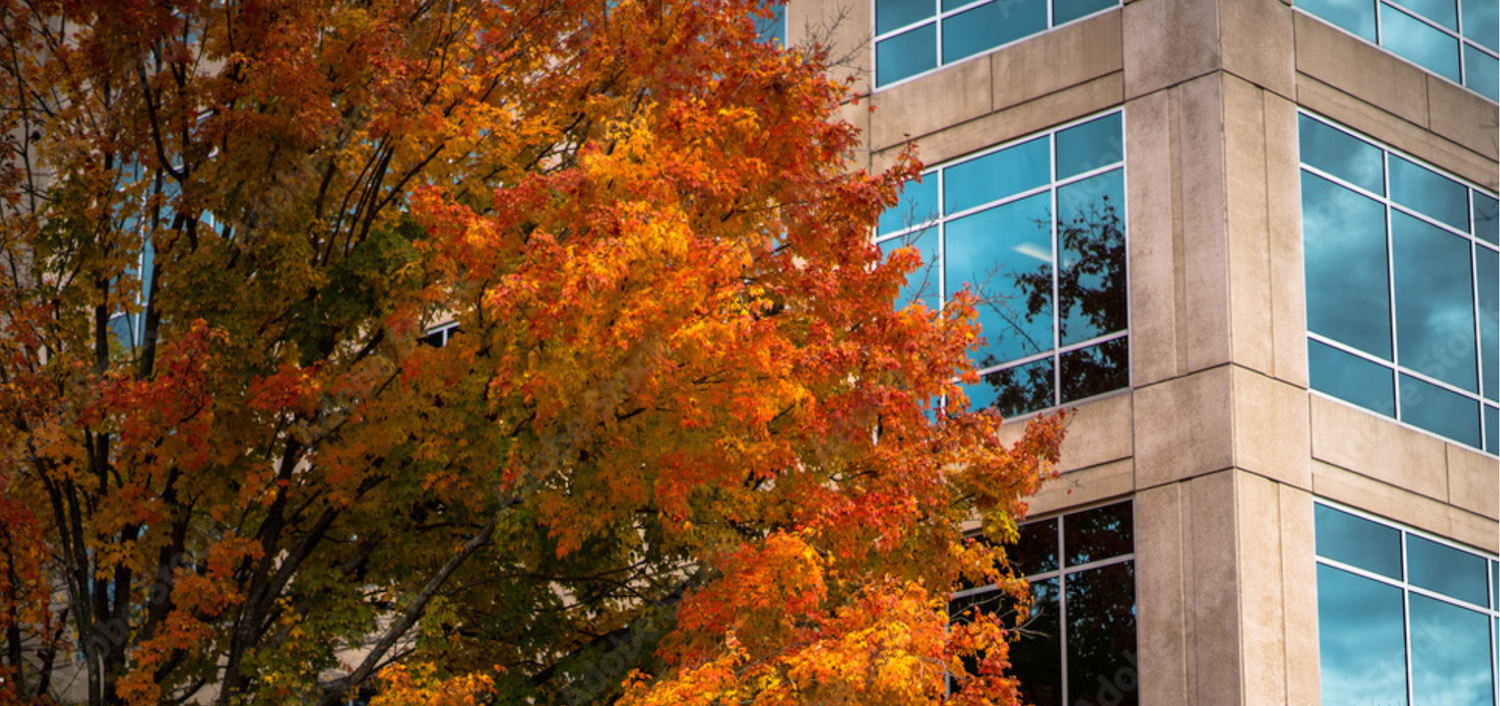 Autumn workplace safety: a seasonal checklist for UK employers